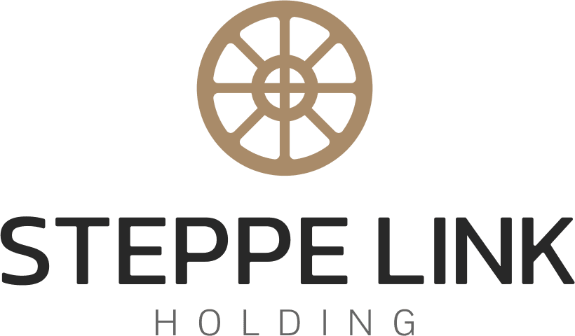 Степпелинк Холдинг ХХК